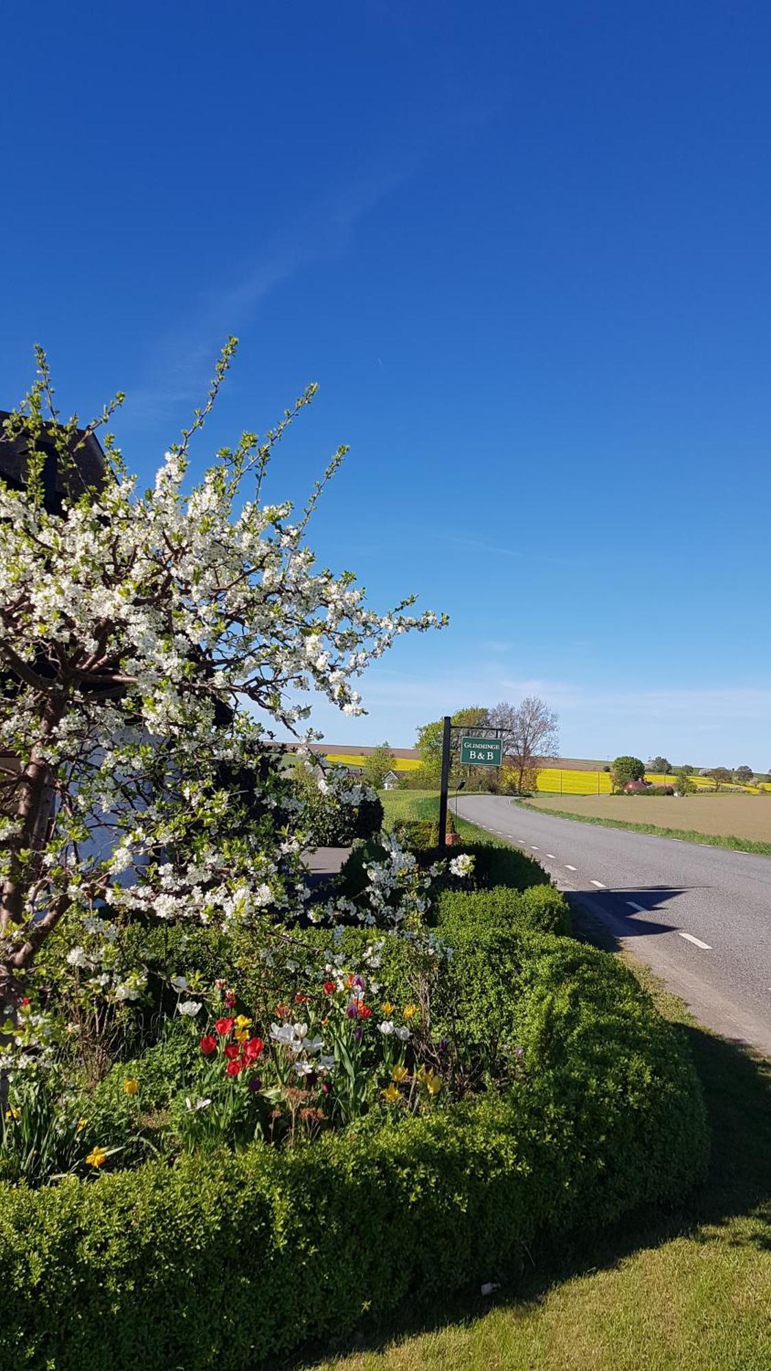 Glimminge Bed & Breakfast Simrishamn Zewnętrze zdjęcie
