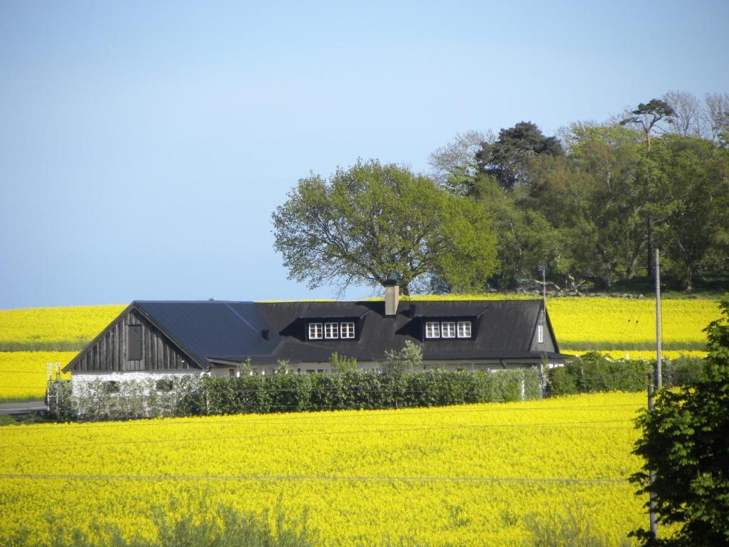 Glimminge Bed & Breakfast Simrishamn Zewnętrze zdjęcie