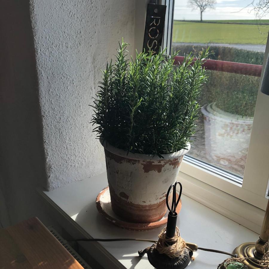 Glimminge Bed & Breakfast Simrishamn Zewnętrze zdjęcie